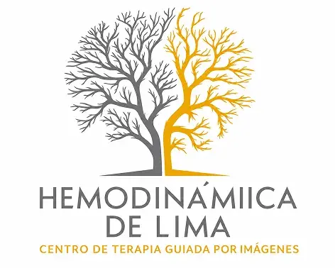hemodinamiica